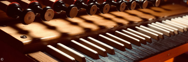 Orgel
