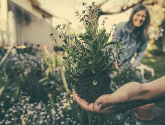 Garten macht Freude